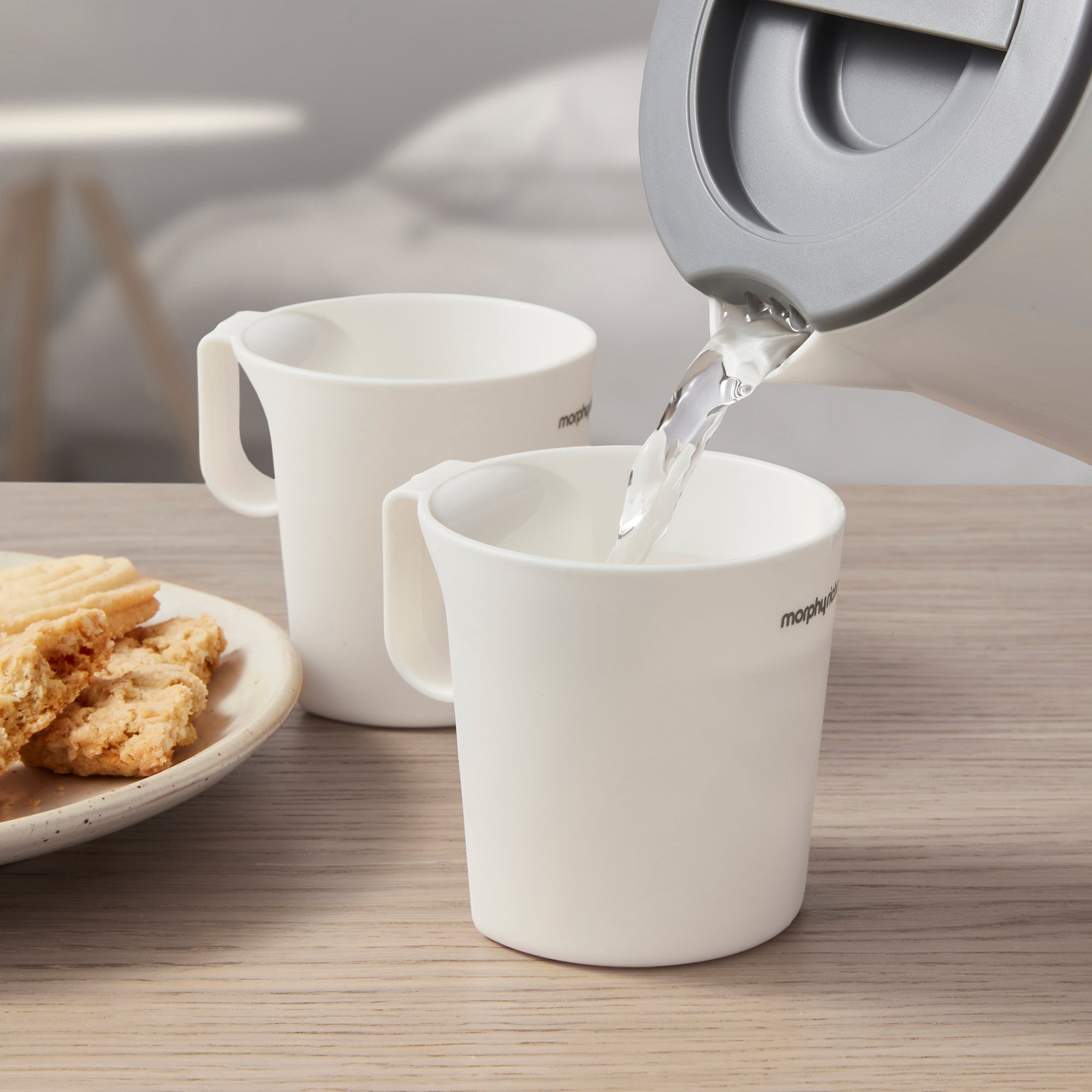 Travel Iron and Travel Kettle Set