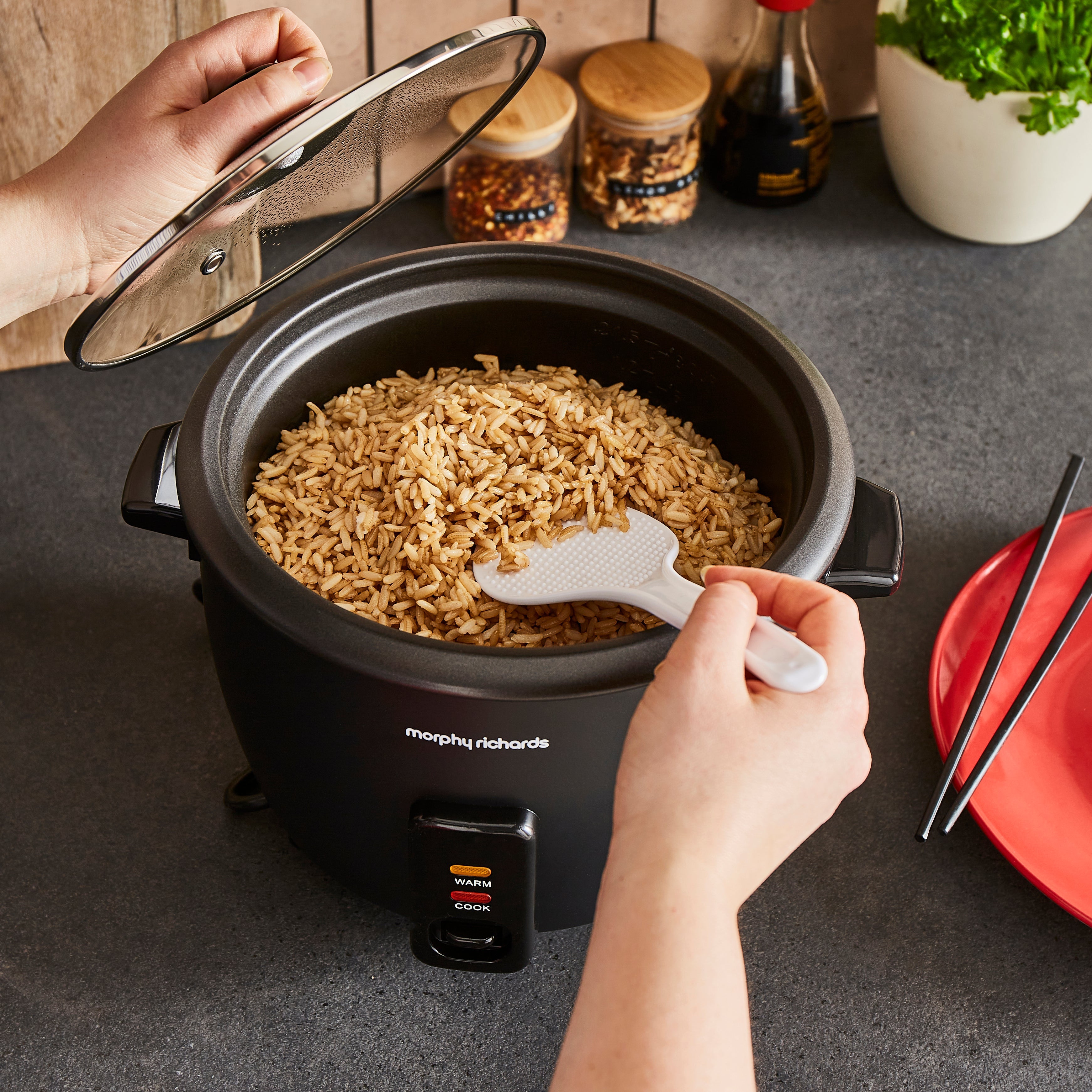 8 Cup Rice Cooker and Steamer