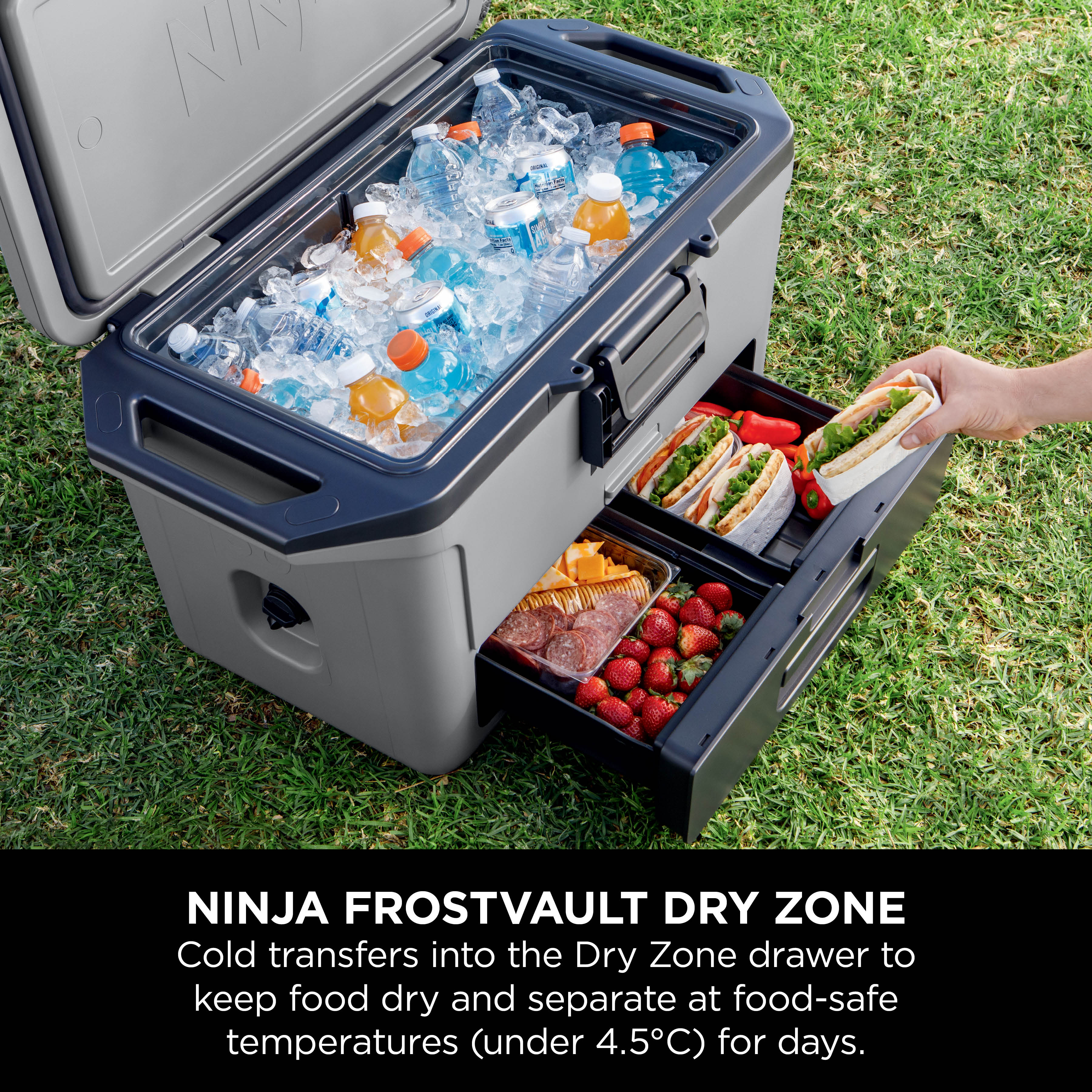 Ninja FrostVault Hard Cooler 50QT/48L