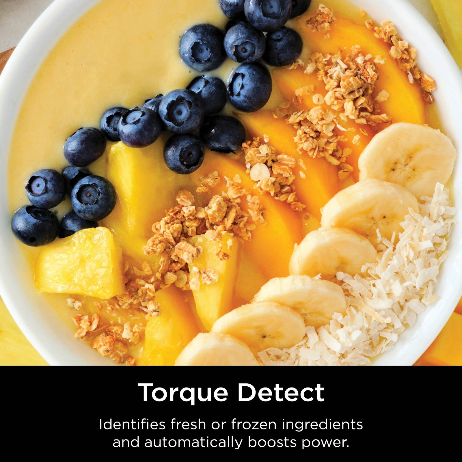 Ninja Detect Blender Pro